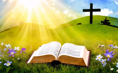 Daily Bible Reading for Today: Discover Uplifting Verses, Lessons, and God’s Messages Just for You