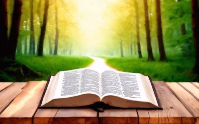 Discovering Today’s YouVersion Bible Verse of the Day: Encouragement, Privacy, and Accessing Yesterday’s Inspiration